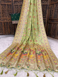 Traditional multicolor Patola-inspired pallu and border  MAHENDI