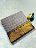 Graceful Checked Weave Saree with Traditional Woven Border - GRAY